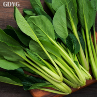 Verse en insectenvrije Pak Choi Bok Choy IQF diepvries uit China, premium kwaliteit |   Vers verwerkt voor export