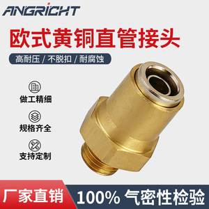 <b>Quick</b> Coupler Copper Pneumatic Hose Fitting Straight Type High Pressure Air <b>Connector</b> Insertion Style - Product Image 5