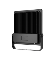 Prix de gros CE RoHS certifié IP66 Projecteur LED extérieur 200W