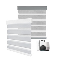 Vente chaude Google Home Smart Motorisé Contrôle Automatique Télécommande Motorisé Alexa Roller Zebra Stores pour fenêtre