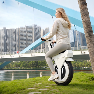 Trottinette Électrique Intelligente 800W à Roue Unique Auto-Équilibrée avec Siège, Pneu Large, Moto Urbaine pour Adulte, Équilibre Automatique 110 - Product Image 2