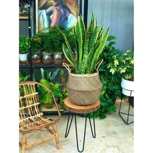 Modern Style Handwoven Natural Seagrass <b>Basket</b> With Handles For Living Room Storage Wholesale Direct Factory Exporter - Product Image 6