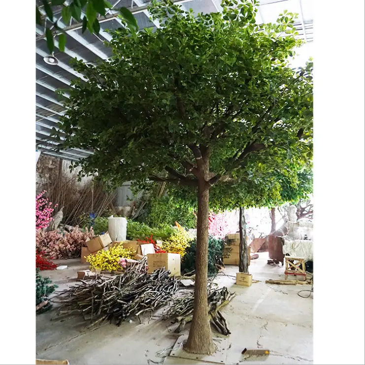Yapay bitki Polyscias peyzaj simülasyon Banyan ağacı Ficus ağacı