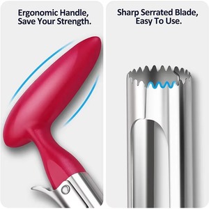 Premium Apple Corer Stainless Steel Apple Pears Core Remover Tool Fruit Cutter Seeder Slicer <b>Knife</b> Kitchen Vegetable Tools - Product Image 6