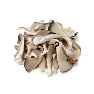 Top Quality Private Label 100% China origin dried oyster mushroom wholesale price king oyster mushroom spawn