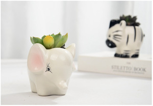 桌面可爱动物造型盆景花园装饰室内多汁陶瓷花盆 - Product Image 2