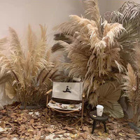 Herbe de la Pampa Naturelle Décorative – Série Très Demandée – Fleurs Séchées en Sac Plastique – Décoration du Nouvel An Chinois et de Pâques