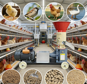 Machine à granulés d'aliments pour animaux / Moulin à granulés d'aliments pour animaux - Product Image 6