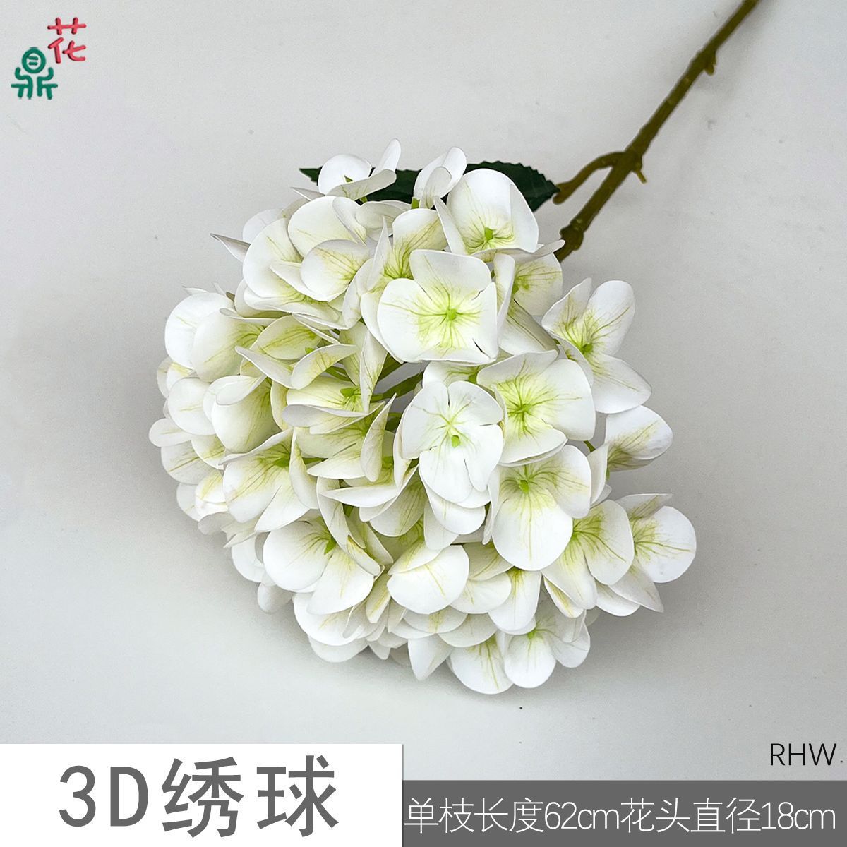 3D Hydrangea RHW Green Core White