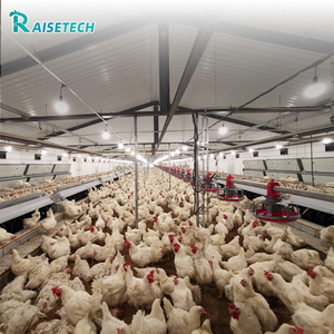 Lớp tự động gà tầng thiết bị-Nhiệm vụ nặng nề chăn nuôi gia cầm hệ thống với bộ sưu tập trứng - Product Image 1