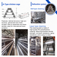 Cages d'élevage avicole en batterie et cages pour animaux de type A, résistantes à la corrosion, pour poulets de basse-cour, poulets pondeuses à étages et poulets de chair