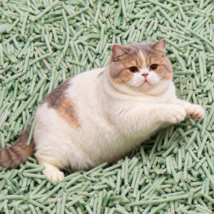 Bac à litière pour chat biodégradable et écologique en soja avec charbon actif, bois, amidon de maïs, jetable dans les toilettes, sans blocage - Product Image 1