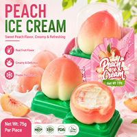 Crème glacée au chocolat et aux fruits certifiée Halal, durée de conservation de 18 mois, emballage en boîte, stockage congelé, 75g, marque personnalisée, fabrication en usine