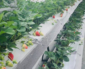 Tuyaux en plastique UPVC de qualité alimentaire pour système de culture NFT, gouttières hydroponiques mobiles - Product Image 5