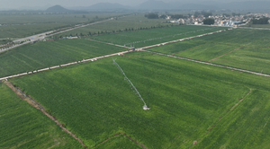 Rekabetçi Fiyatlı Pointer Tipi Yağmurlama Sulama Makinesi - Product Image 5