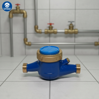 Contador de agua multichorro de latón Chenshuo DN32/DN40 con pago posterior, grado B ISO 4064, protección IP68, personalizable OEM, 1 año de garantía, 2.5