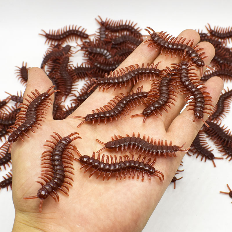 Little centipede