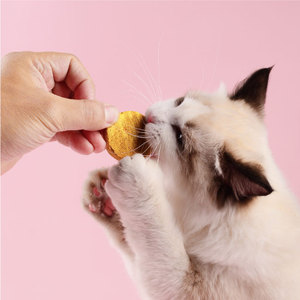 Friandises lyophilisées pour chiens et collations pour chats - Viande et os en forme de tarte, vitamines et minéraux biologiques, pour des dents propres - Product Image 2