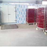 Séchoir à pompe à chaleur multifonctionnel KR pour fruits, légumes, viande, épices, poisson et bois, déshydrateur durable