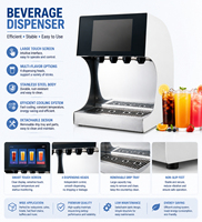 Distributeur Commercial de Jus de Fruits Gazeux en Gros – Équipement Professionnel pour Boissons Pétillantes pour Restaurants et Magasins