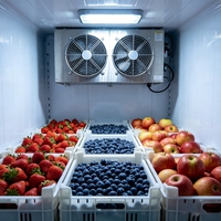 Op maat gemaakte 10t 50t 100t koelcel CE-gecertificeerd voor vers fruit en bloemen
