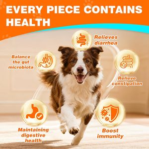 Probiotiques pour chiens OEM ODM sous forme de friandises molles pour le soutien immunitaire et la santé digestive, absorption rapide, toutes races et étapes de vie - Product Image 3