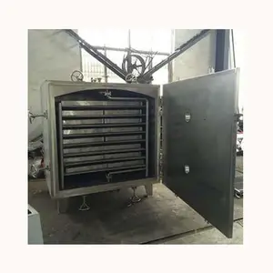 Hot Sale vacuum drying equipment for dried fruit processing