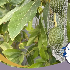 Griglia di Protezione Antiparassitaria in Rete di Acciaio Inossidabile SS 304 Intrecciata con Servizio di Taglio 12,7cm X 6m/12m Marca <span class=keywords><strong>Hestia</strong></span> - Product Image 6