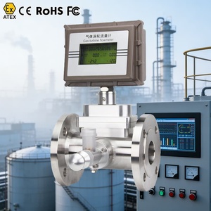 <b>Meter</b> <b>Flow</b> <b>Meter</b> Gas <b>Flow</b> Flare <b>Meter</b> Digital <b>Flow</b> <b>Meter</b> Domestic Gas <b>Flow</b> <b>Meter</b> - Product Image 1