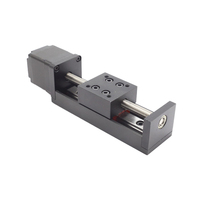 Module de mouvement linéaire à vis à billes CTM28, mini-actuateur linéaire électrique haute précision 12V 24V, de 0 mm à 300 mm, module de qualité