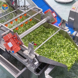 1-3t/h Custom Vegetable Processing Line Vortex Washing Cutting Packing for Pre-made Dish Net Veg Bagged Supply - Product Image 1
