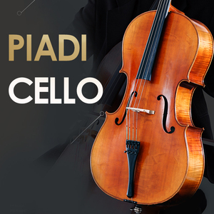 Marques pour <span class=keywords><strong>violoncelle</strong></span> en bois massif, accessoire <span class=keywords><strong>de</strong></span> marque haut en épicéa massif Aa, nœud octogonal acoustique, 4/4 Fiber <span class=keywords><strong>de</strong></span> <span class=keywords><strong>carbone</strong></span> - Product Image 2