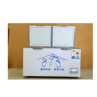 Congelador Comercial de Puerta Sólida con Apertura Superior, Motor y Control de Temperatura de Alta Precisión