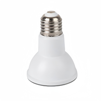 E27 Base 12V Entrée 8W Lumière du jour blanche chaude Par20 LED Ampoule de piscine pour petit spa
