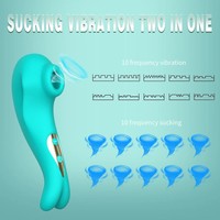 Vibrateur clitoridien à 10 fréquences pour femmes avec alimentation USB et conception étanche - Aide à la masturbation pour adultes