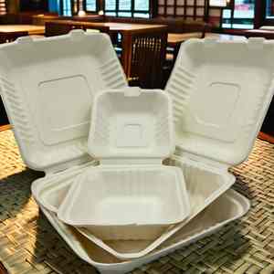 Assiettes en papier jetables écologiques biodégradables, imperméables et compatibles micro-ondes pour les fêtes - Product Image 1