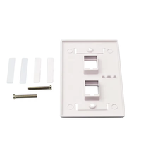 Plaque murale Keystone Jack à 2 ports de type 2 américaine en matériau PC blanc, plaque murale RJ45/RJ11, coupleur réseau, câble de réseau de télécommunication