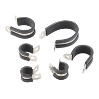 AUPROTEC Colliers de serrage réglables en acier galvanisé avec insert en caoutchouc, attaches en P pour sécuriser les tuyaux et câbles, diamètre 50 mm, bande de 15 mm, lot de 2