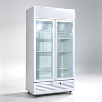 Réfrigérateur vertical avec porte vitrée et étagères métalliques réglables pour magasin de proximité, réfrigérateur de présentation à refroidissement par ventilateur