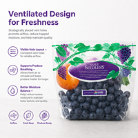 Sacs à poignée ventilés pour fruits, personnalisés par le fabricant, en CPP recyclable, de qualité alimentaire, pour emballage de raisins