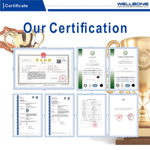 Daftar baru Wellbone sebagian melengkung Double Joint Rongeur untuk instrumen bedah ortopedi Q4-09 - Product Image 6