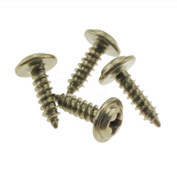 Vis jouet à tête de rondelle cylindrique en laiton fendue autotaraudeuse