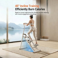 Climber d'exercice cardio multifonctionnel pliable en acier pour entraînement complet du corps, stepper réglable, écologique et durable pour le fitness