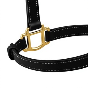 Harnais pour cheval en cuir de qualité supérieure OEM avec boucles en laiton, fabricant en gros de Divine International - Product Image 1