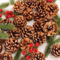 Ornamen Pohon Natal Bentuk Kerucut Pinus Gaya Klasik ABK, Ramah Lingkungan, Dapat Digunakan Kembali, Dekorasi Santa Claus dengan Bunga Kering