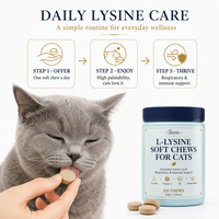 Complément alimentaire à la L-Lysine pour le soutien immunitaire des chats, santé respiratoire féline, comprimés à croquer à la lécithine, soins quotidiens, vente en gros