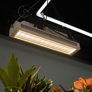 Luces LED de Cultivo Hidropónico de Alta Eficiencia, Espectro Completo, 320W, Brillantes para Invernaderos y Acuaponía - Product Image 6