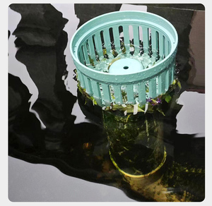 ฝาครอบกรองน้ำสำหรับบ่อ<span class=keywords><strong>ปลา</strong></span>คาร์<span class=keywords><strong>ฟ</strong></span>ลอยน้ำ อุปกรณ์เสริมสำหรับทำความสะอาดตู้<span class=keywords><strong>ปลา</strong></span>และ<span class=keywords><strong>บ่อ</strong></span> - Product Image 3