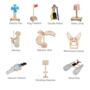 2023 NEW wooden battery powered electric gift Physics assembly DIY stem educational toys for kid