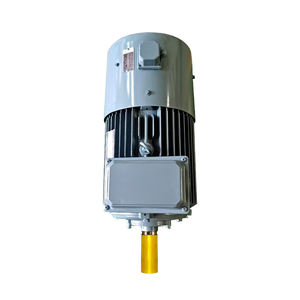 Büyük yüksek güç 6P değişken frekans hız ayarı üç fazlı asenkron AC motor 55kw IP55 60HZ - Product Image 2